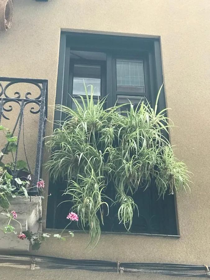 Apartamento Aittitta Makurra Etxea Lekeitio